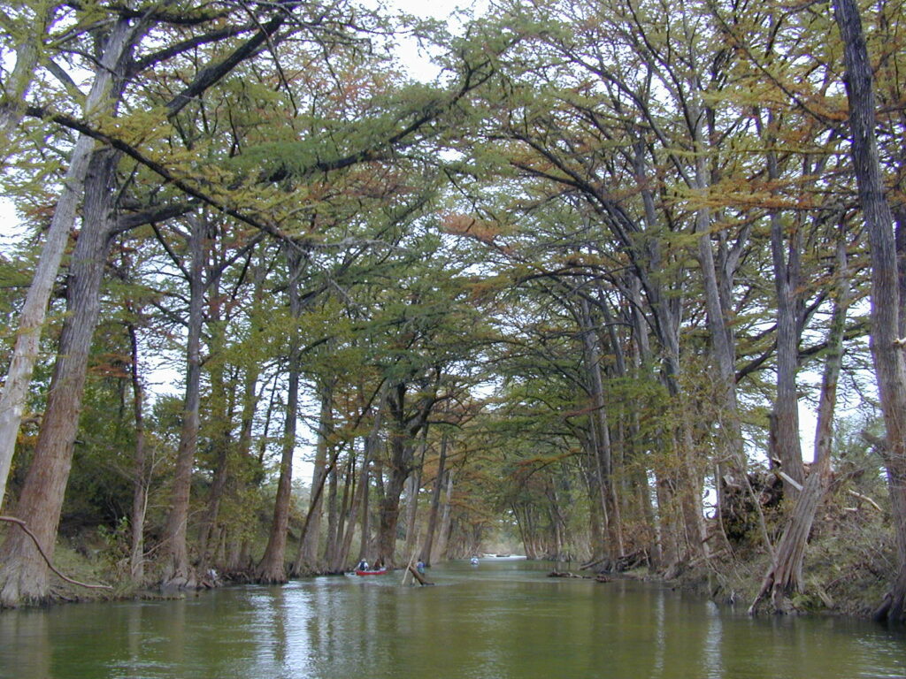 Upper Guadalupe