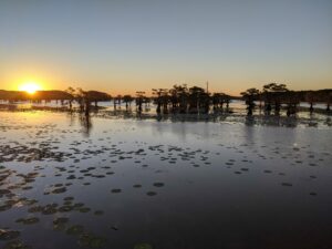 Caddo Lake Old Folks Playground, photo by TRPA member Alexander Neal