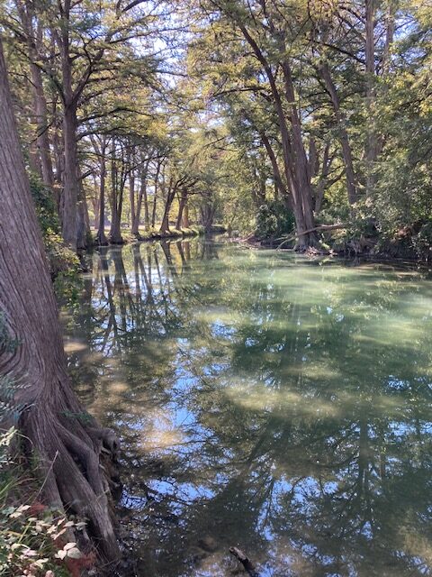 Medina River - Texas Rivers Protection Association