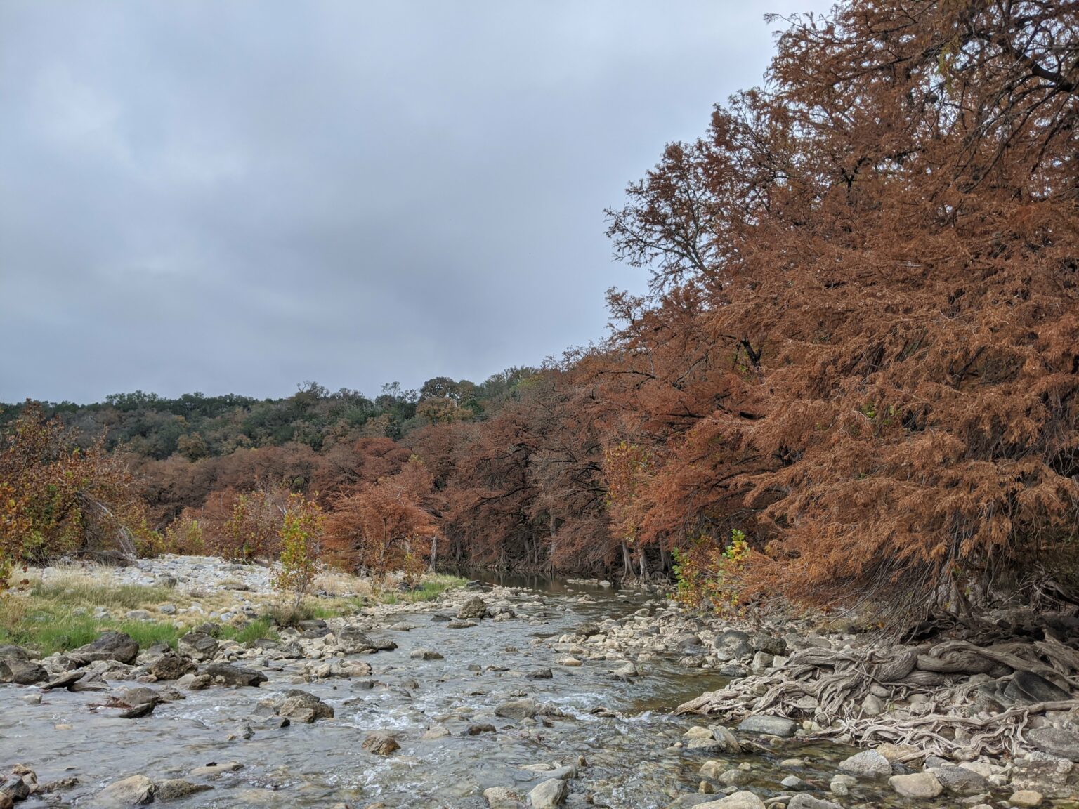 Pedernales River - Texas Rivers Protection Association