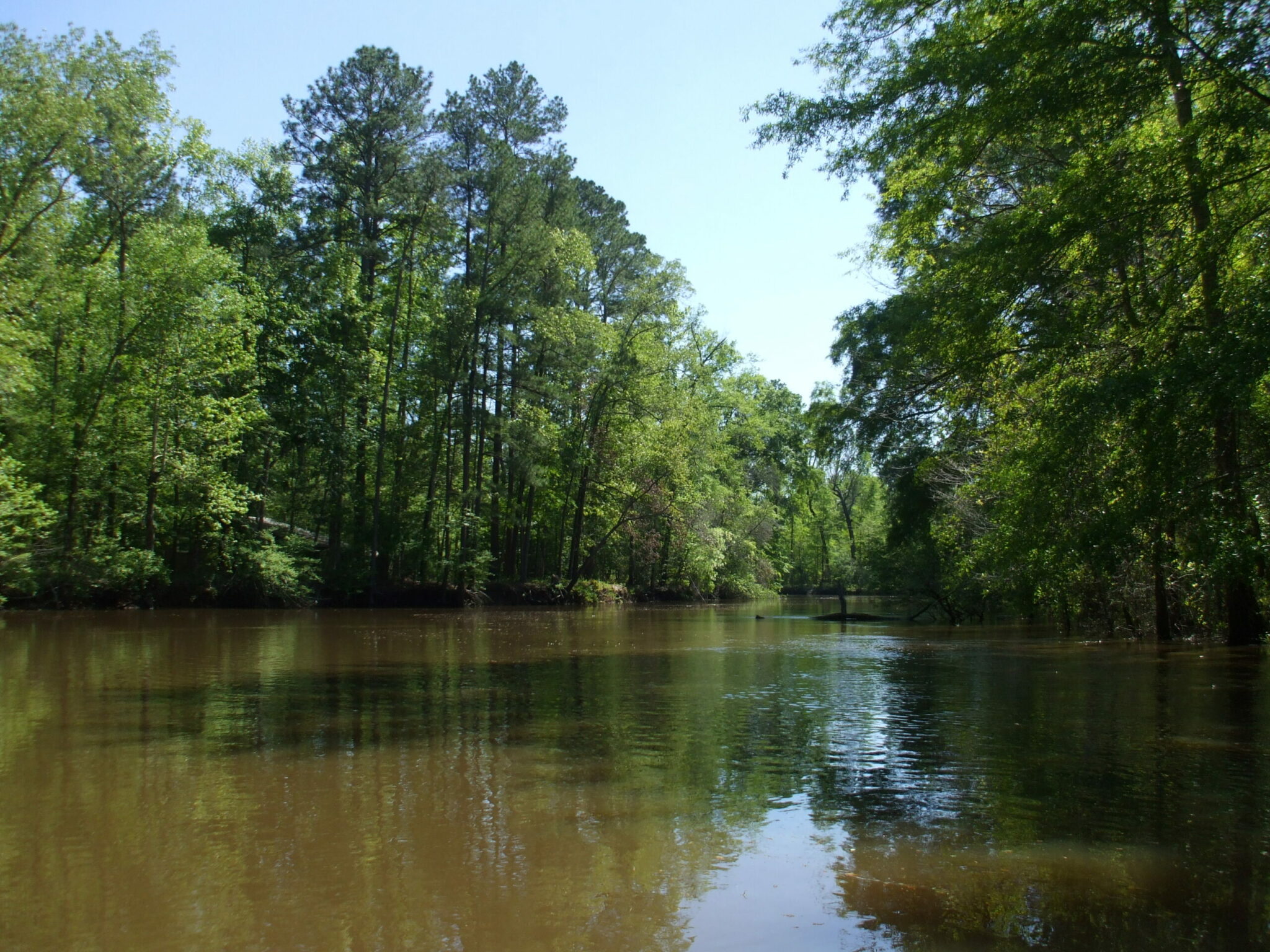 Neches River - Texas Rivers Protection Association