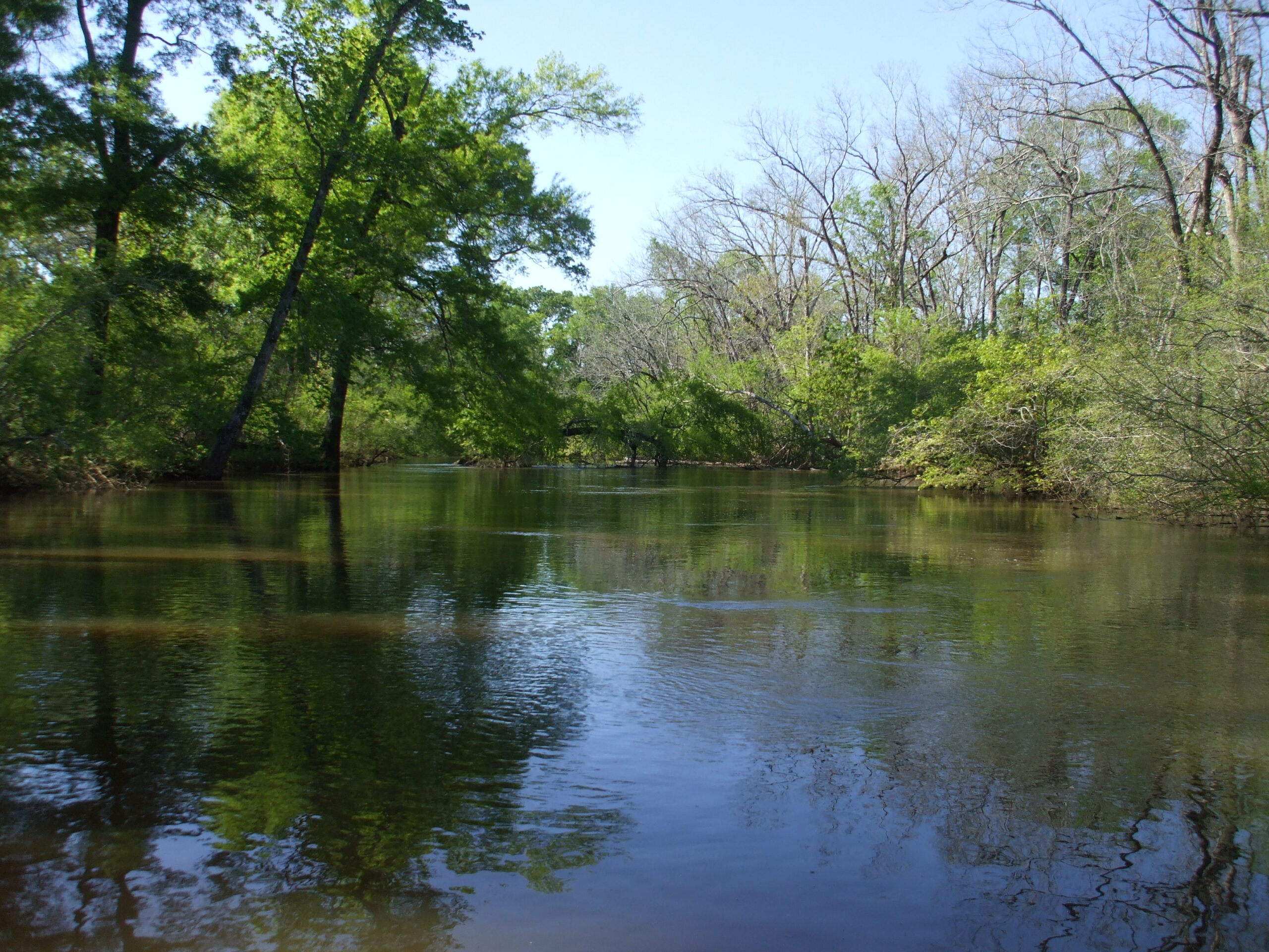 Neches River - Texas Rivers Protection Association