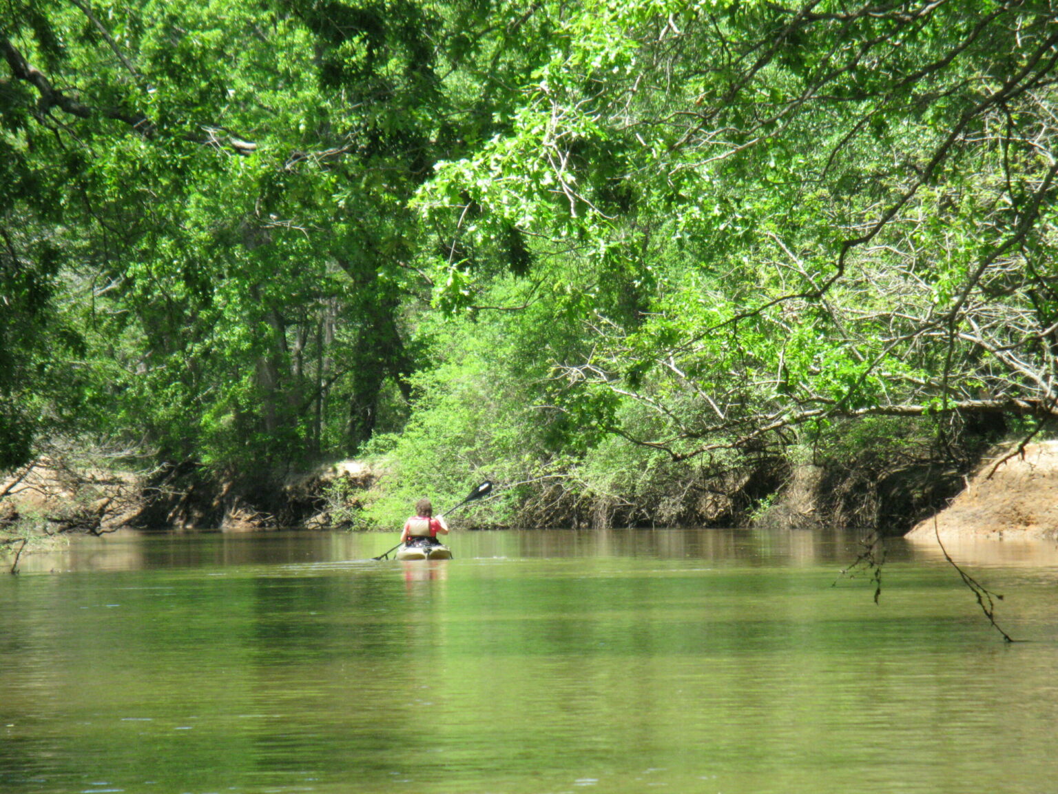 Neches River Texas Rivers Protection Association