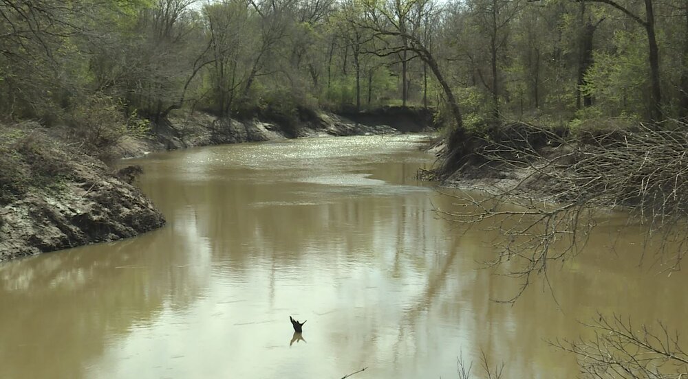 Navasota River