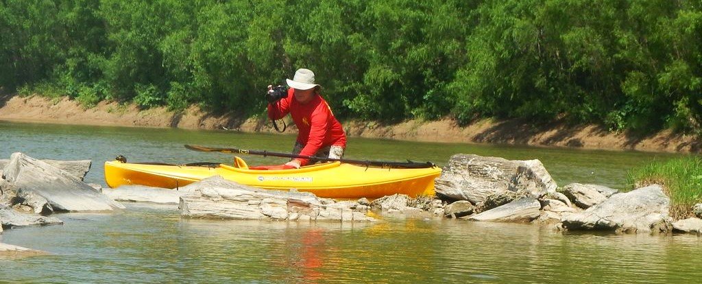 Petrified logjam on Brazos