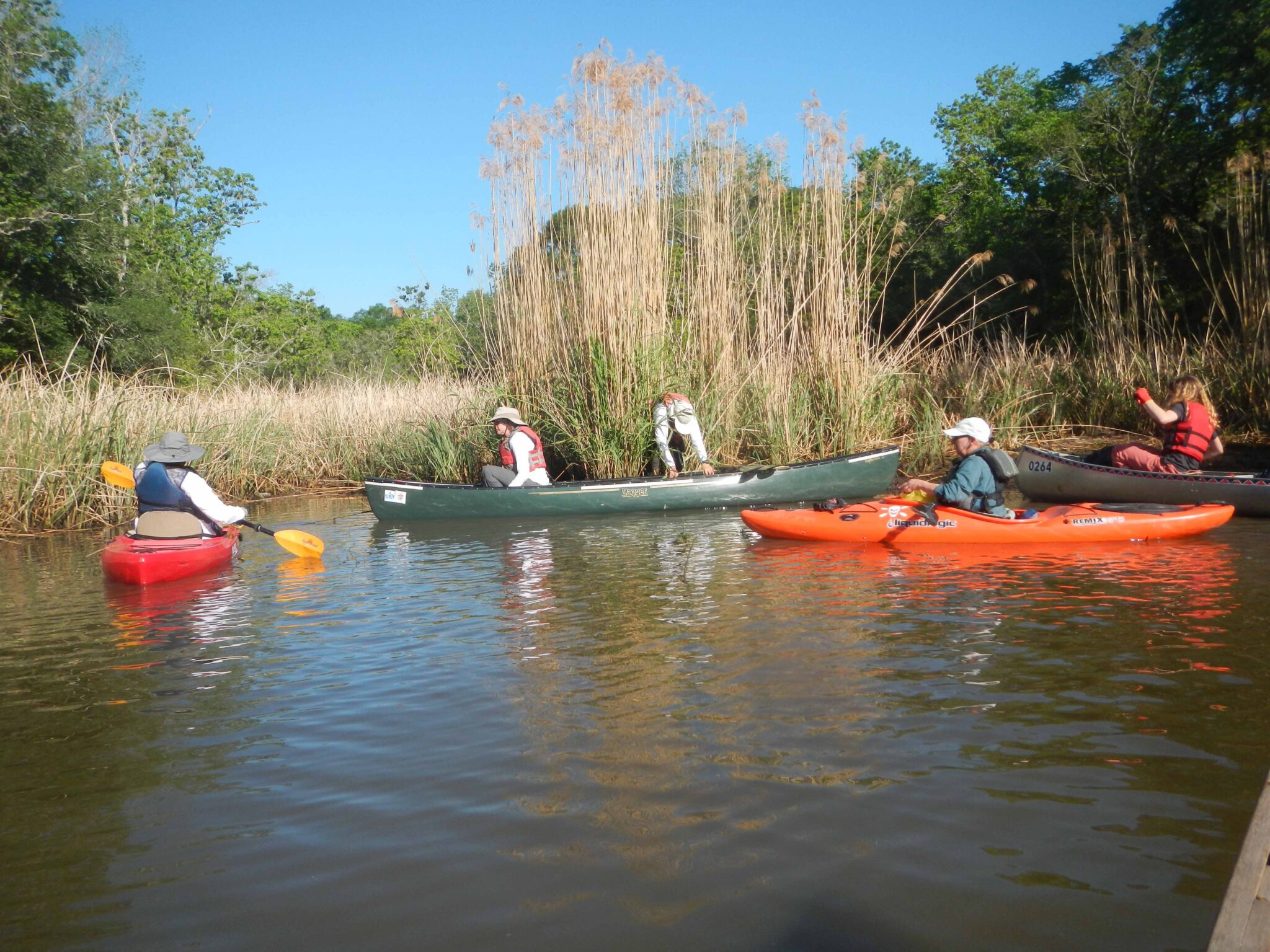 Texas Rivers Protection Association Protecting The Flow Water   Trash Bash 2023 By Linda Shead 2048x1536 